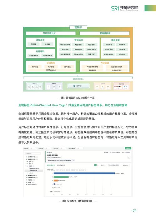 澳门六公叔内部消息|详细数据解释落实_改进版.9.361