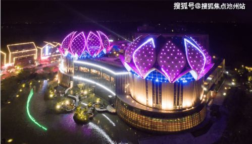 杂货店高峰最新官方版下载-杂货店高峰手游正版下载v.8.16